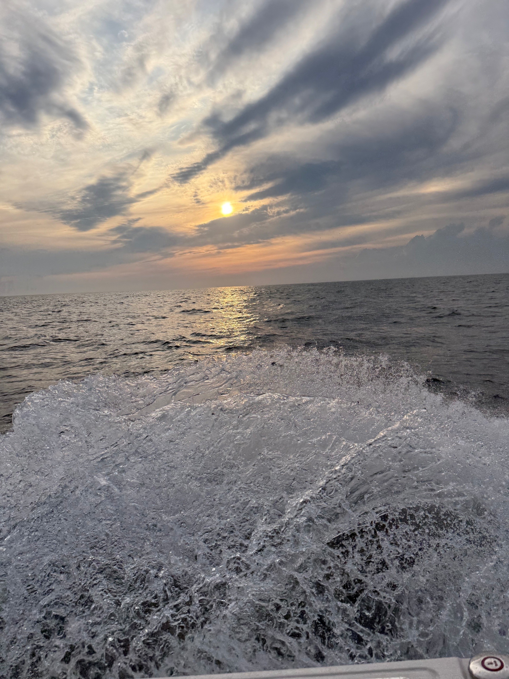 Water Splash from Cobia